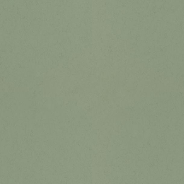 Mellangrön tapet med enfärgat mönster